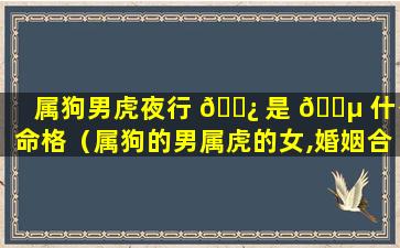 属狗男虎夜行 🌿 是 🐵 什么命格（属狗的男属虎的女,婚姻合适吗）